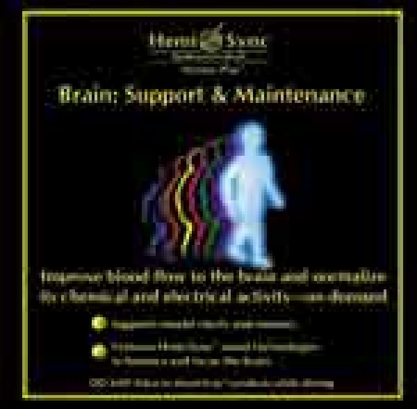 Brain: Support & Maintenance Brain: Support & Maintenance