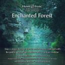 Enchanted Forest (Zauberwald)